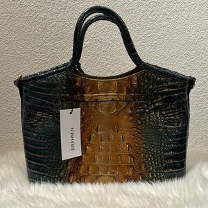 Brahmin Small Elaine-Bayleaf Ombré Genuine Leather Melbourne Handbag